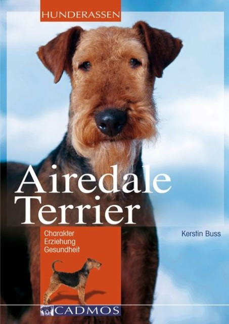 Airedale Terrier [Kerstin Buss]